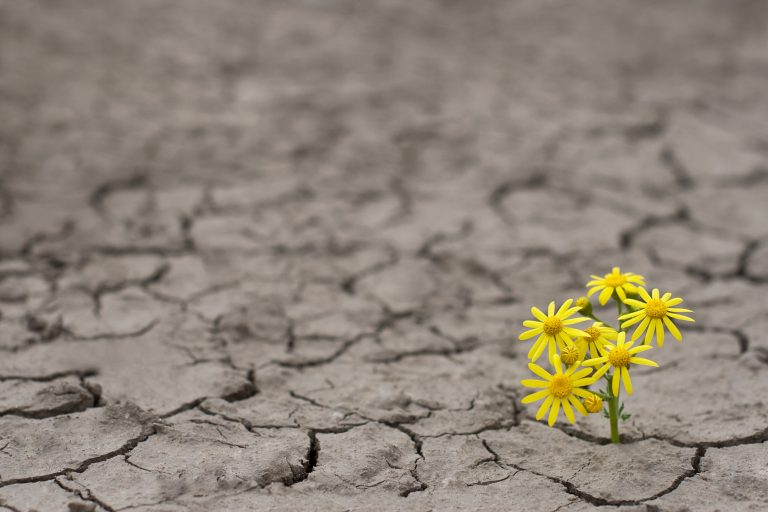 Technoloty News :  5 tips for scaling your green startup during a funding drought .