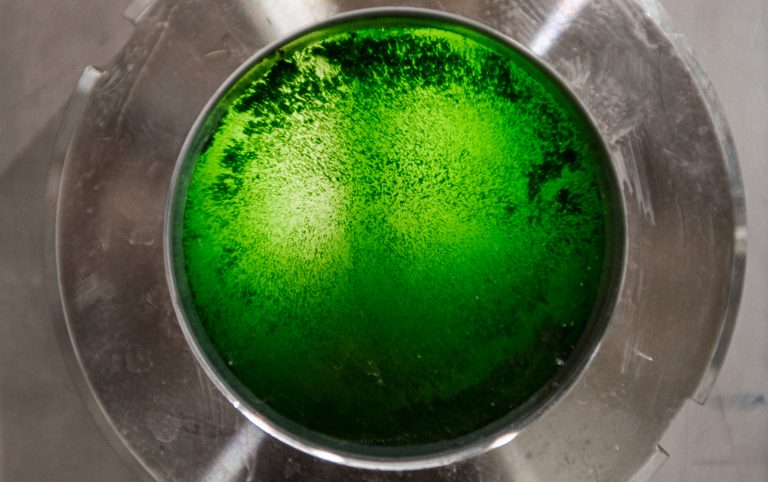 Technoloty News :  Brevel sprouts $18.5M to develop microalgae-based alternative proteins .