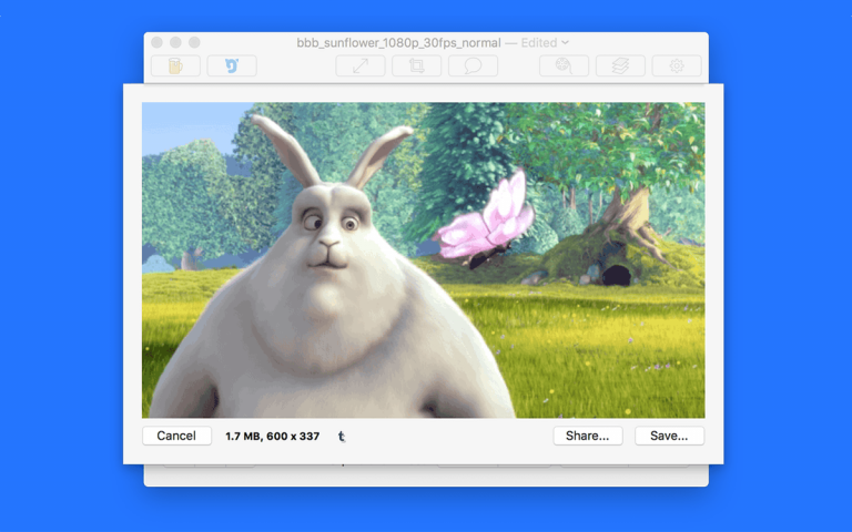Technoloty News :  Gfycat snaps up Mac app GIF Brewery to expand its GIF creation capabilities to the desktop .
