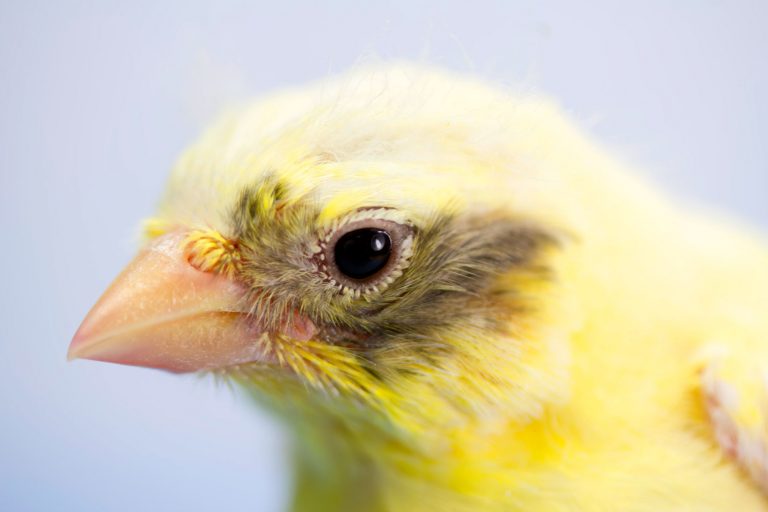 Technoloty News :  HouseCanary raises $31 million to value residential real estate .