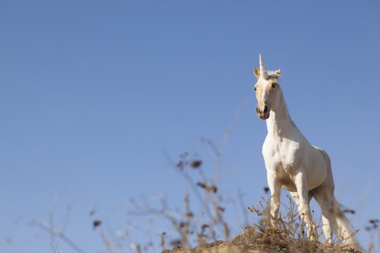 Technoloty News :  The Crunchbase Unicorn Leaderboard is back, now with a record herd of 452 unicorns .